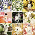 🌸Jo Malone白瓶系列香水100ml | 預訂約2-3星期 娉婷貿易公司 Exquisite Beauty Trading Company
