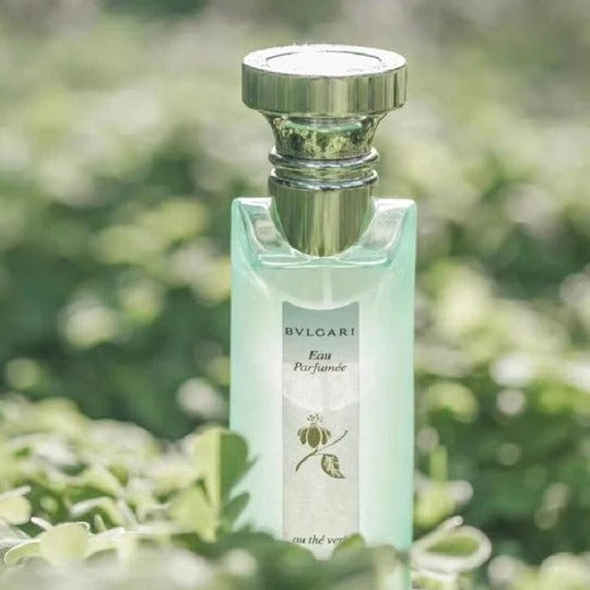 供應商現貨 💫免稅正品 BVLGARI Au The Vert 綠茶中性古龍水 75ml | 落單後約5-7個工作天寄出