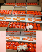 【24小時網站自助下單】2026年2月9日截🌸🇰🇷韓國製造 高純度凡士林100ml (2件/套) | 預訂約3月中至尾