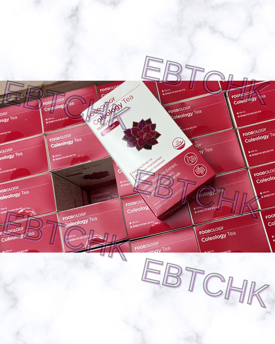 現貨🌸FOODOLOGY - Coleology Tea 五彩蘇植物纖體茶 8g x 15條 | 落單後約3-5個工作天寄出