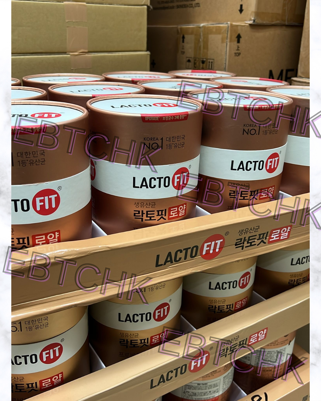 現貨🌸LACTO-FIT 皇家款5x 升級版乳酸菌 2g x120條 | 落單後約3-5個工作天寄出 娉婷貿易公司 Exquisite Beauty Trading Company