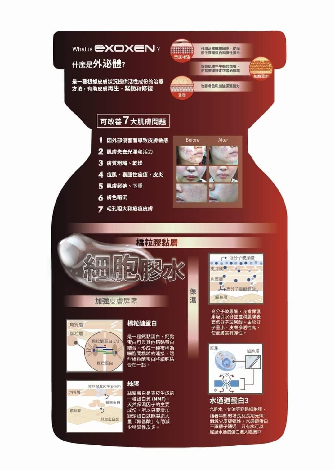 💫美容界新寵兒矚目登場《外泌體》 EXOXEN @3ML (正貨保證) | 預訂約1-2星期