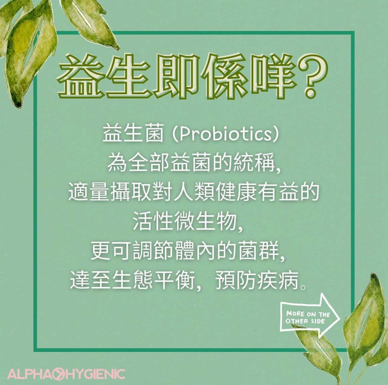 💫台灣🇹🇼Alphahygienic Lactbifi+ 倍效益生菌 (一盒30包 每包2g克) | 預訂約3-4星期