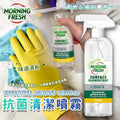 供應商現貨🌸澳洲 Morning Fresh 抗菌清潔噴霧 500ml | 落單後約5-7個工作天寄出 娉婷貿易公司 Exquisite Beauty Trading Company