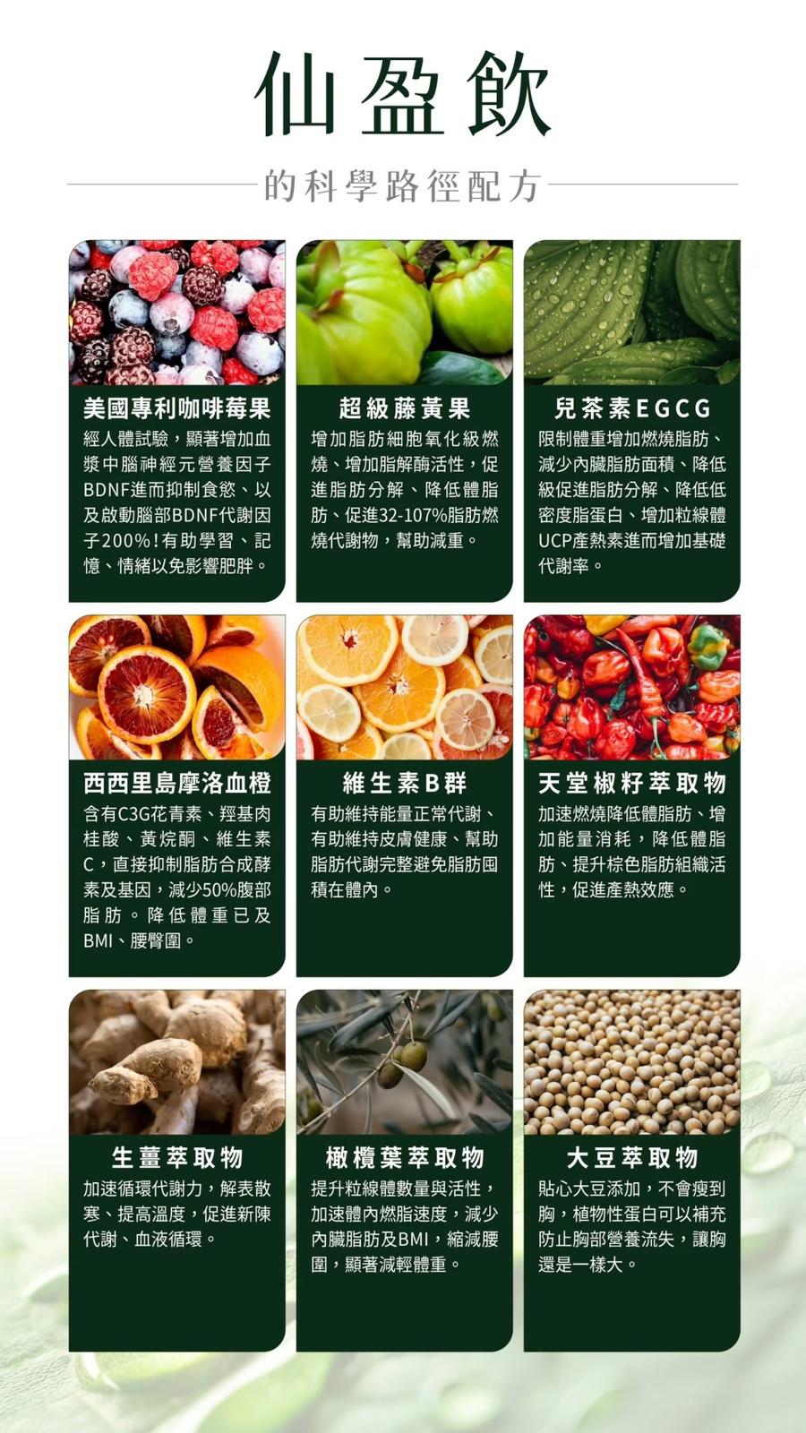 供應商現貨🌸名絢生技🩷仙盈飲 # 完美體態苗條 | 落單後約3-5個工作天寄出 娉婷貿易公司 Exquisite Beauty Trading Company