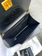 🌸日本中古品代購 CHANEL特殊蜥蜴皮🦎黑金鍊條包 | 預訂約2-3星期