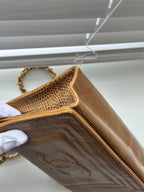 🌸日本中古品代購 Chanel香奈兒Lizard Leather蜥蜴皮Coco標志鏈條包斜挎包 | 預訂約2-3星期