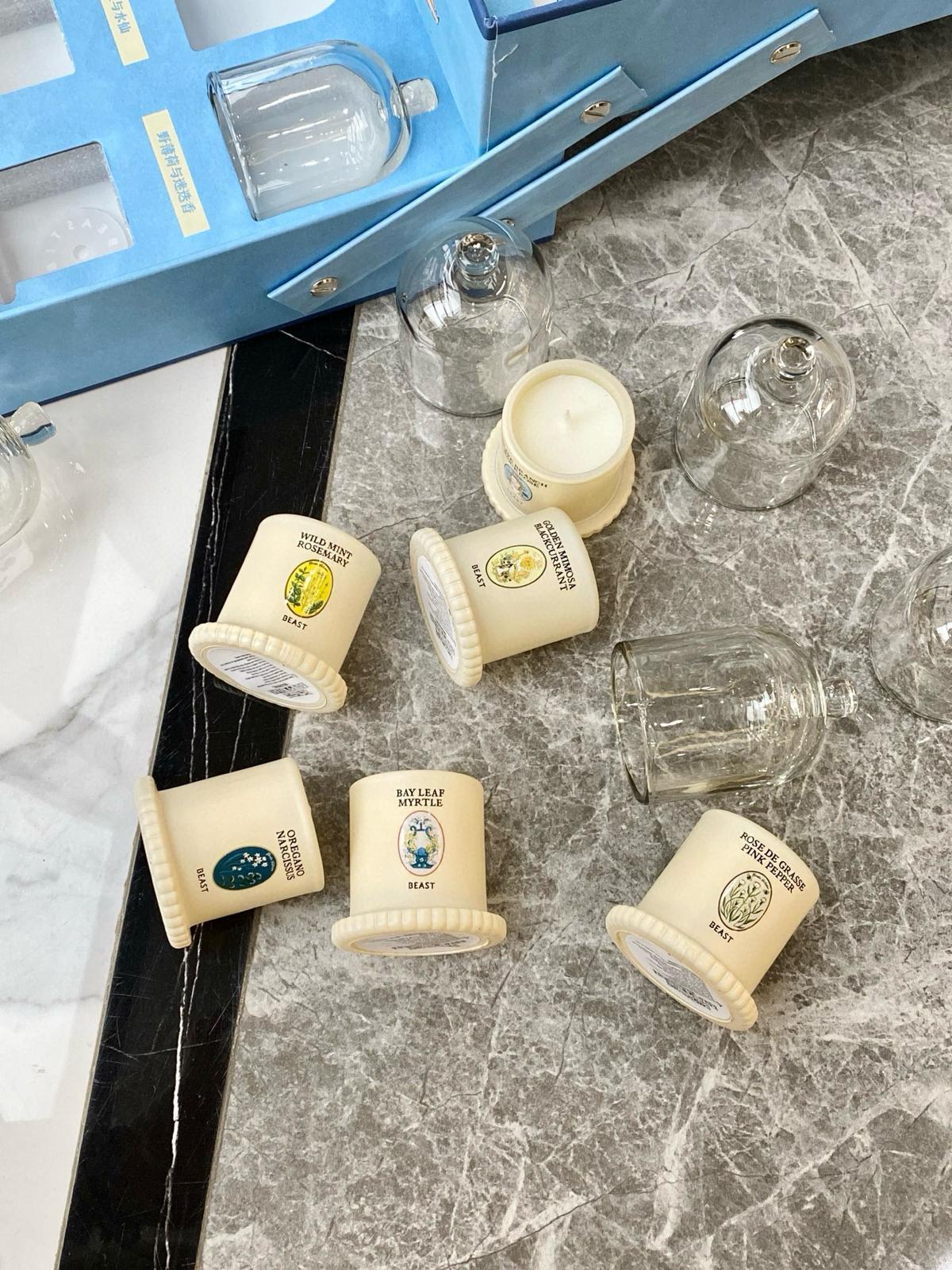 🌸野獸派🩵鐘罩大豆蠟蠟燭🕯️香薰套裝 | 預訂約3-4星期