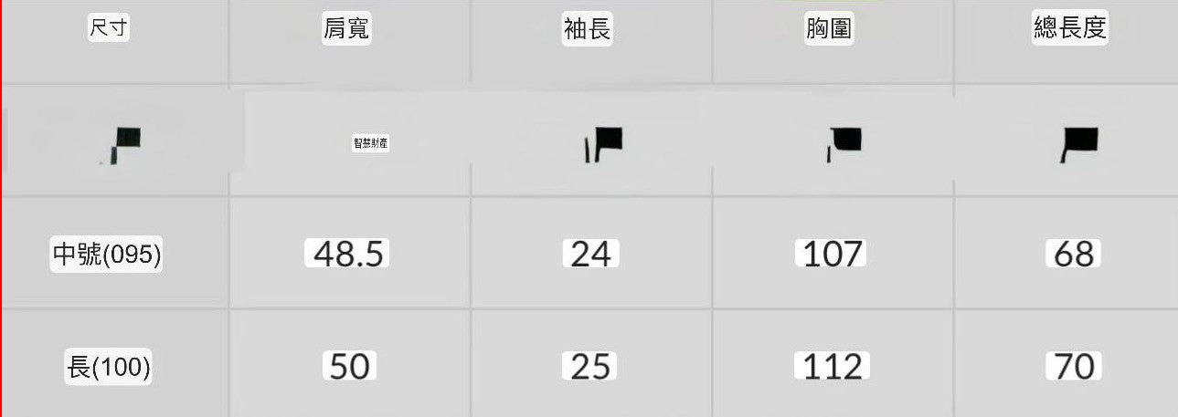 31/5截🌸🧸SPAO🧸韓國專門店/免稅店 2025新款折扣再特價😍 SPAO x 蠟筆小新 短袖Tee兩件套 | 預訂約3-4星期