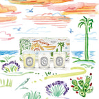 🌸Diptyque夏日暖陽系列香薰蠟燭三件套 | 預訂約1-2星期