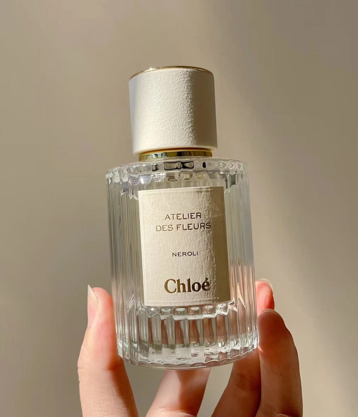 供應商現貨🌸免稅正品 Chloe蔻依橙花之舞150ml | 預訂 逢星期一，三返倉執貨 其後約3-5個工作天寄出