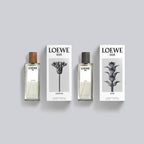 🌸Loewe -「事後清晨」🛏️男/女士香水100ml | 預訂約2-3星期 娉婷貿易公司 Exquisite Beauty Trading Company