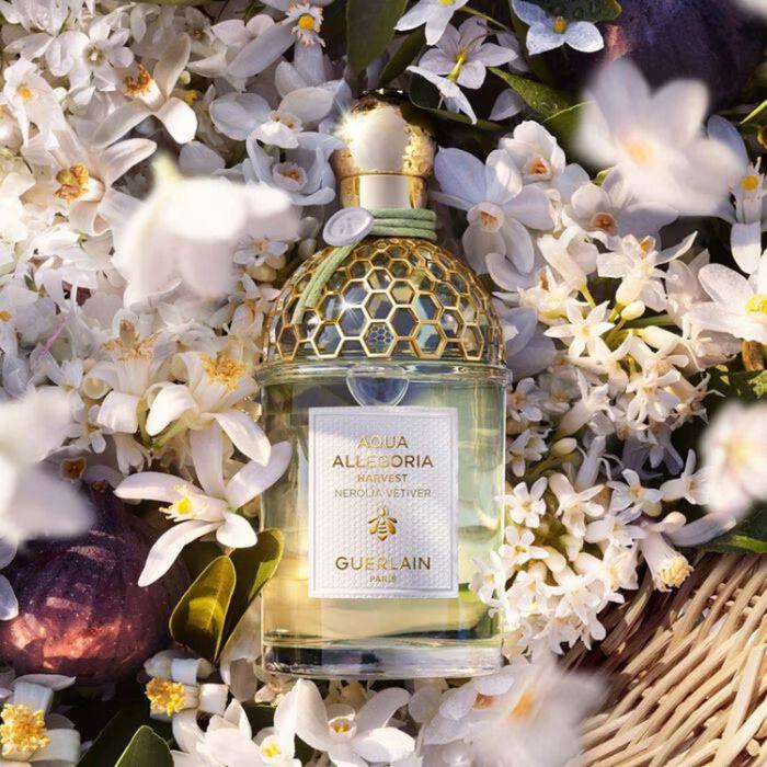 🌸Guerlain 花草水語 Nerolia Vetiver琢白岩蘭橙花淡香水75ml | 預訂約2-3星期