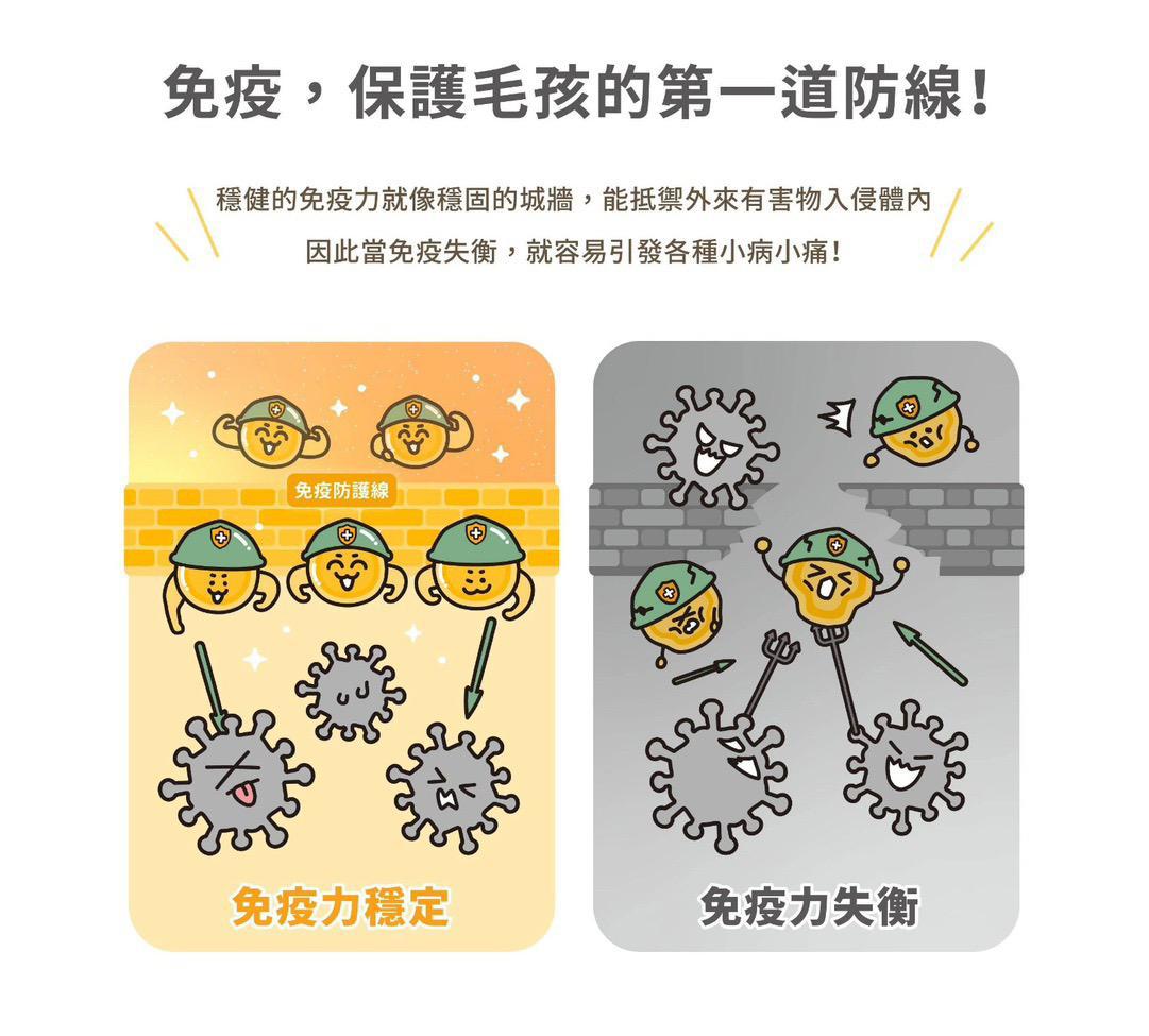 每月15/30號截單🌸汪喵免疫力提升保養粉（升級版） 50顆入 | 預訂 截單後約2-3星期到