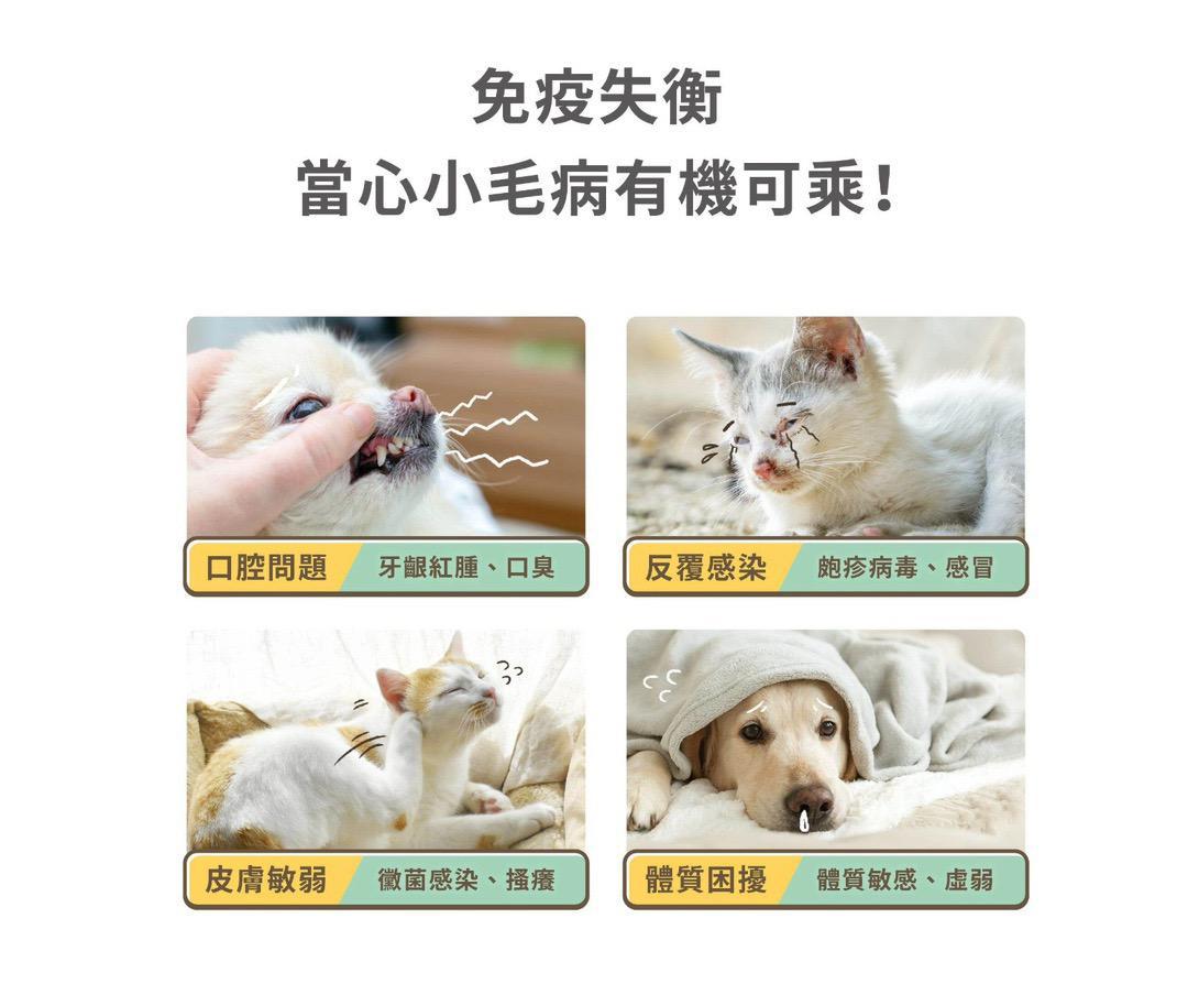 每月15/30號截單🌸汪喵免疫力提升保養粉（升級版） 50顆入 | 預訂 截單後約2-3星期到