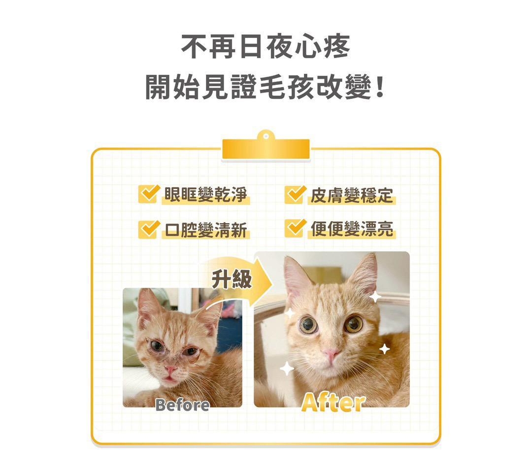 每月15/30號截單🌸汪喵免疫力提升保養粉（升級版） 50顆入 | 預訂 截單後約2-3星期到