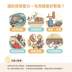 每月15/30號截單🌸汪喵星球-紓壓胺基酸(2g x 20包） | 預訂 截單後約2-3星期到