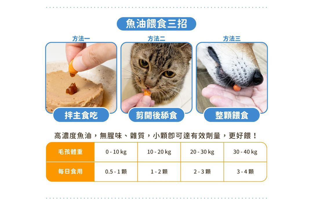 每月15/30號截單🌸汪喵85% Omega-3 機能魚油 60顆入 | 預訂 截單後約2-3星期到