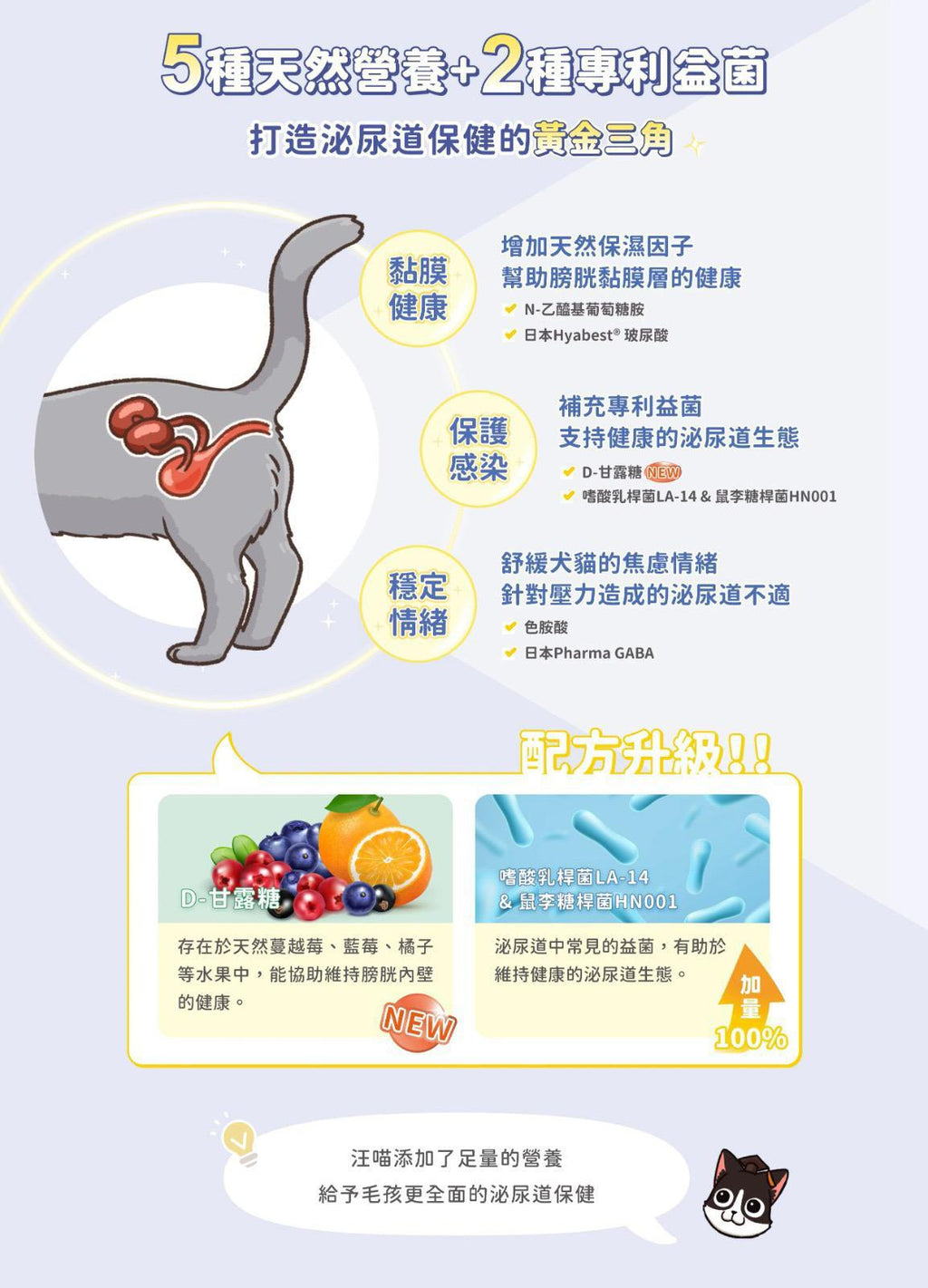 每月15/30號截單🌸汪喵星球-泌尿道健康保養粉 (升級版) 90顆入 | 預訂 截單後約2-3星期到