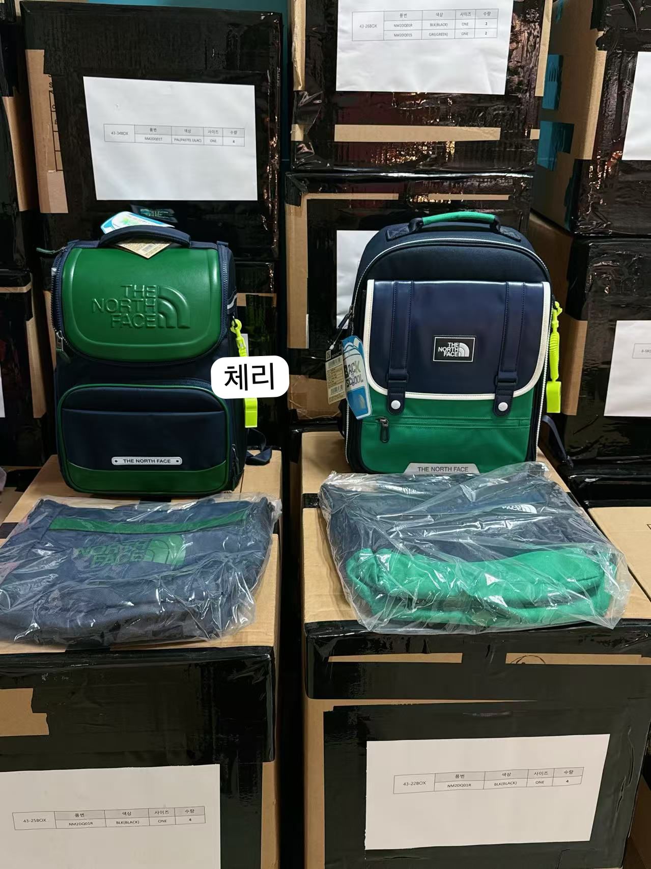 售完即止🌸韓國直送 🇰🇷The North Face kids 書包+功課袋 | 預訂約3-4星期(whatsapp圈圖)