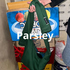 20/10/2025截🌸🇹🇭Kentneey Daily Windy 兩用袋 | 預訂約3-4星期(WHATSAPP圈圖)