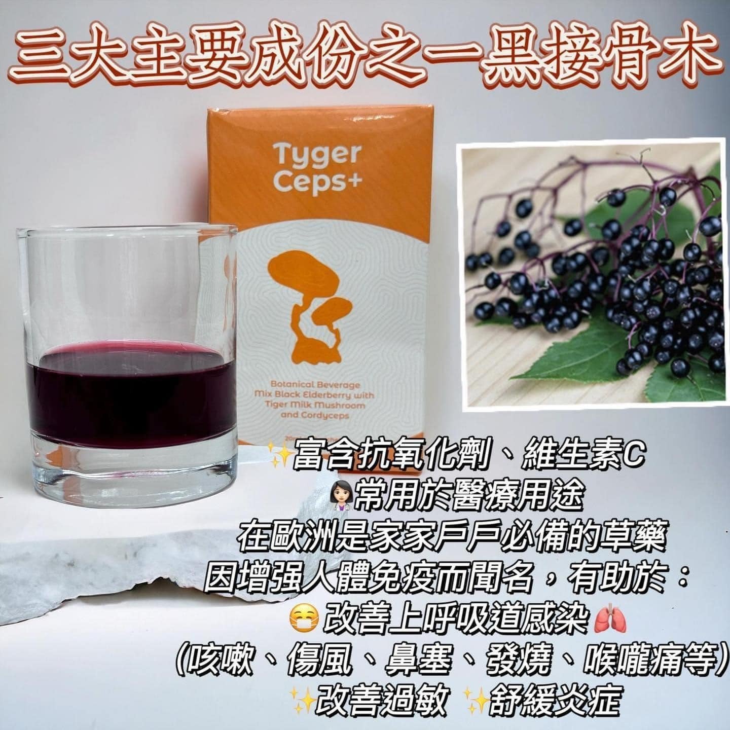 🌸TygerCeps+ 虎乳芝益肺寶 | 預訂約2星期