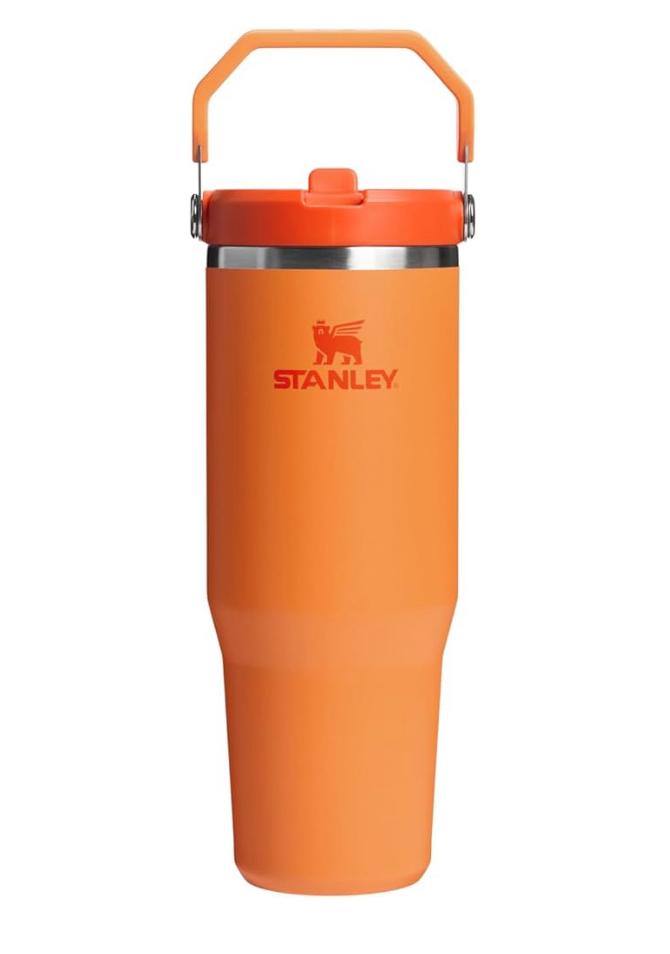 🌸Stanley STANLEY IceFlow Flip Straw Tumbler with Handle 30 oz | 預訂約3-4星期