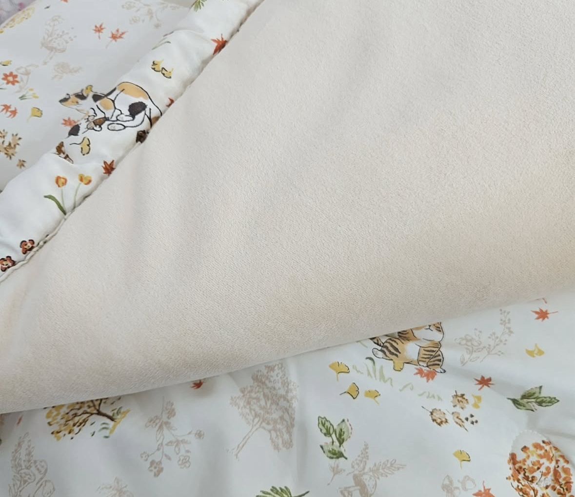 2025年12月7日2300截🌸👾廣藏被開團啦👾韓國被 # KQ3095 | 預訂約12月尾至1月初