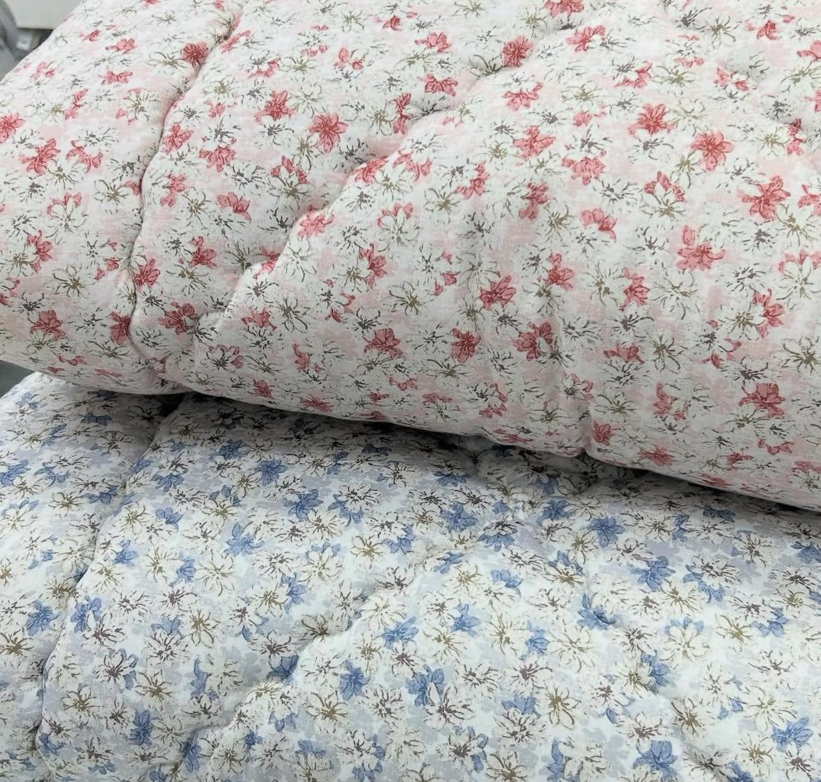 2025年12月7日2300截🌸👾廣藏被開團啦👾韓國被 # KQ3108 | 預訂約12月尾至1月初