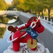 現貨🌸雍和宮馬年福盒(已開光）| 落單後約3-5個工作天寄出