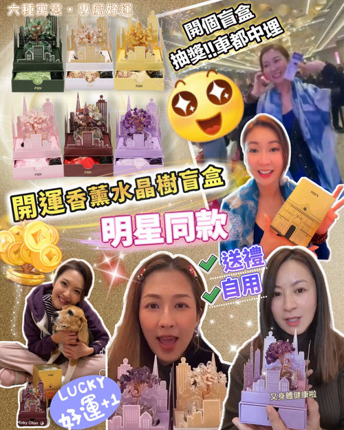【24小時網站自助下單】少量現貨 🌸2026開運✨FIDI 水晶樹盲盒香 香薰水晶樹 | 落單後約3-5個工作天寄出 娉婷貿易公司 Exquisite Beauty Trading Company