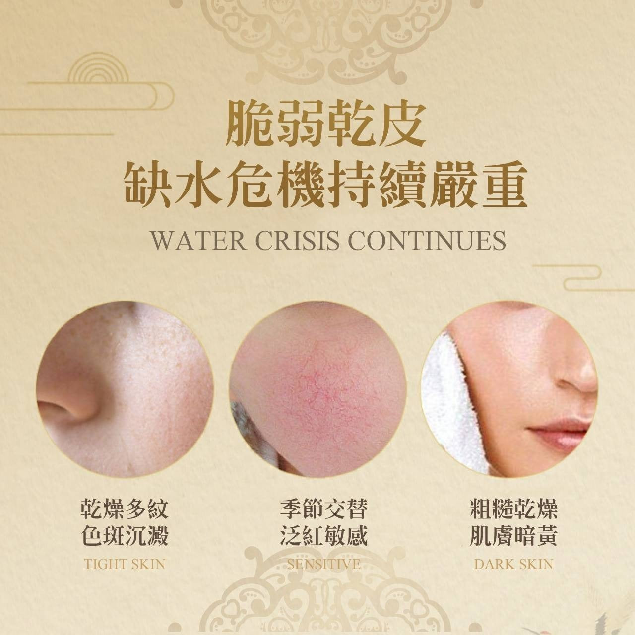 【24小時網站自助下單】 2026年4月6日截🌸🟡台灣淨森堂 草本黃芪臻白霜30g🟡 | 預訂約6月初至中