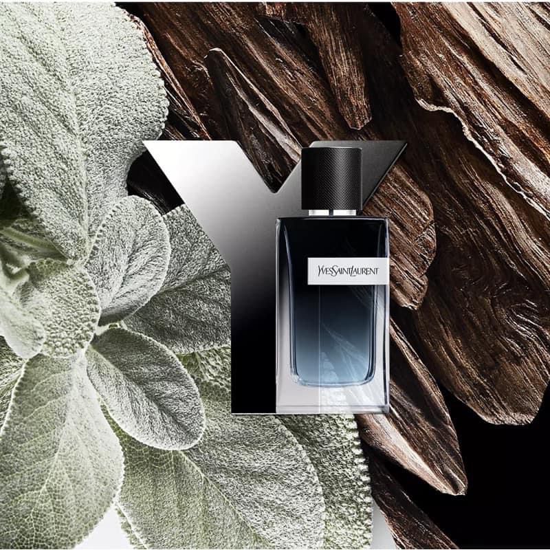 【24小時網站自助下單】🌸🔅YSL 先鋒男性馥郁版淡香水100ml🔅 | 預訂約2-3星期