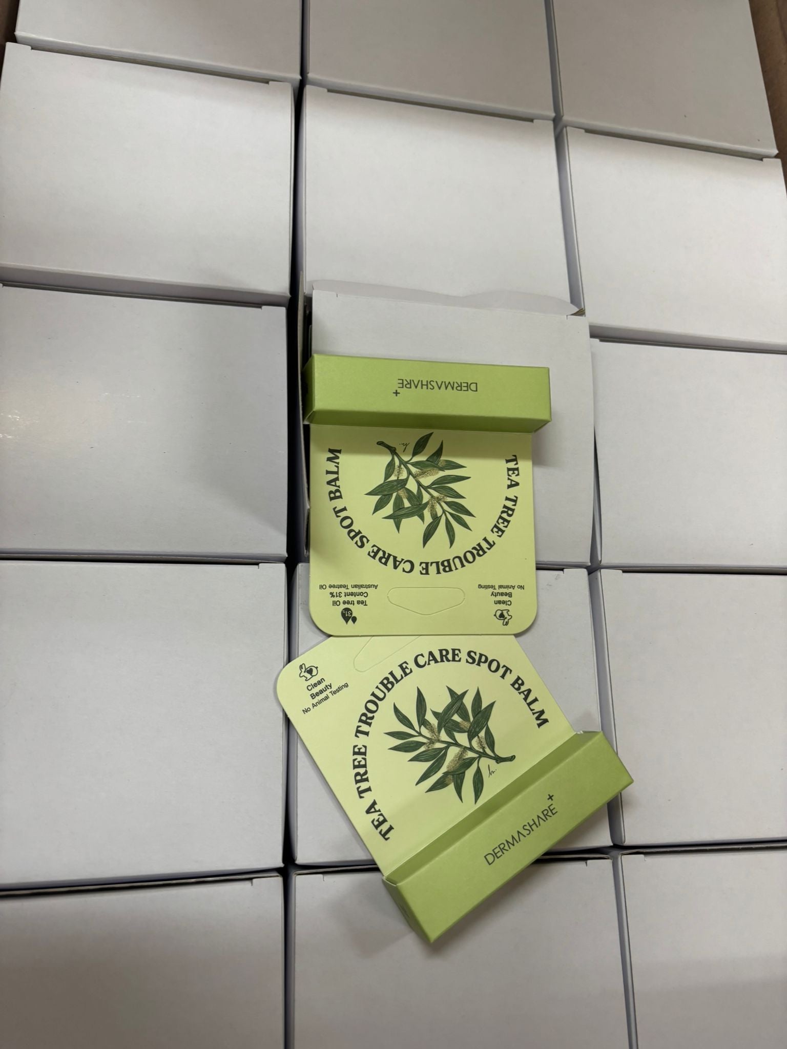 【24小時網站自助下單】現貨🌸Dermashare 茶樹煩惱護理祛斑膏 3.5g | 落單後約3-5個工作天寄出