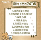 【24小時網站自助下單】現貨🌸Prime S - 寵物專用NMN抗老修復護眼強骨補充膠囊 (鰹魚味) | 落單後約3-5個工作天寄出