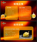 【24小時網站自助下單】🌸🤡‼️ 一個不榴 榴槤冰皮月餅 中秋優惠‼️一個不榴-冰皮月餅禮券💥首批早鳥優惠至9月8號💥 📦：預計9月上旬到卷✅ | 預訂 預計9月上旬到券✅