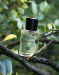 【24小時網站自助下單】 🌸免稅正品 Acqua di Parma 帕爾瑪之水 未來之水Colonia Futura 50ml | 預訂約2-3星期
