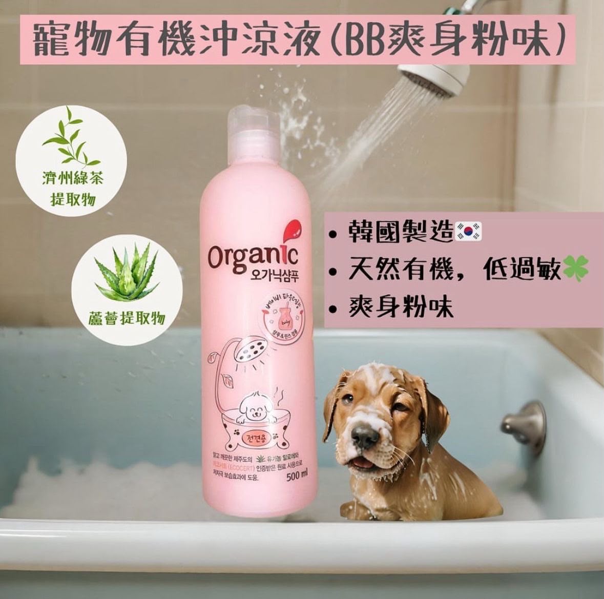 【24小時網站自助下單】現貨🌸香港總代理行貨 韓國🇰🇷Organic 有機洗毛液500ml | 落單後約3-5個工作天寄出 娉婷貿易公司 Exquisite Beauty Trading Company