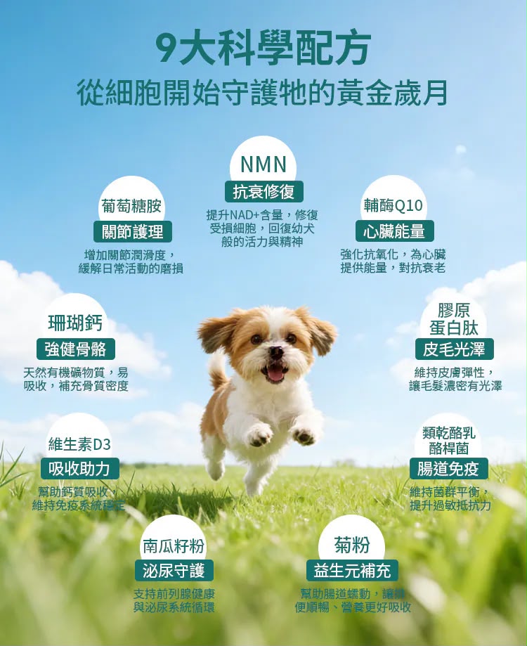 【24小時網站自助下單】現貨🌸⭐️⭐️新產品⭐️⭐️HaBibi®️ 狗狗NMN抗衰黃金配方 [中小型犬] | 落單後約3-5個工作天寄出 娉婷貿易公司 Exquisite Beauty Trading Company