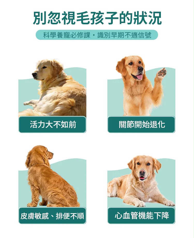 【24小時網站自助下單】現貨🌸⭐️⭐️新產品⭐️⭐️HaBibi®️ 狗狗NMN抗衰黃金配方 [中小型犬] | 落單後約3-5個工作天寄出 娉婷貿易公司 Exquisite Beauty Trading Company