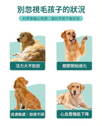 【24小時網站自助下單】現貨🌸⭐️⭐️新產品⭐️⭐️HaBibi®️ 狗狗NMN抗衰黃金配方 [中小型犬] | 落單後約3-5個工作天寄出 娉婷貿易公司 Exquisite Beauty Trading Company