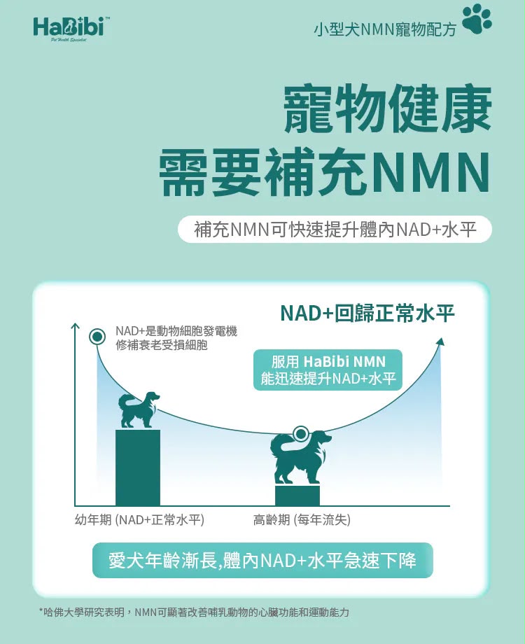 【24小時網站自助下單】現貨🌸⭐️⭐️新產品⭐️⭐️HaBibi®️ 狗狗NMN抗衰黃金配方 [中小型犬] | 落單後約3-5個工作天寄出 娉婷貿易公司 Exquisite Beauty Trading Company