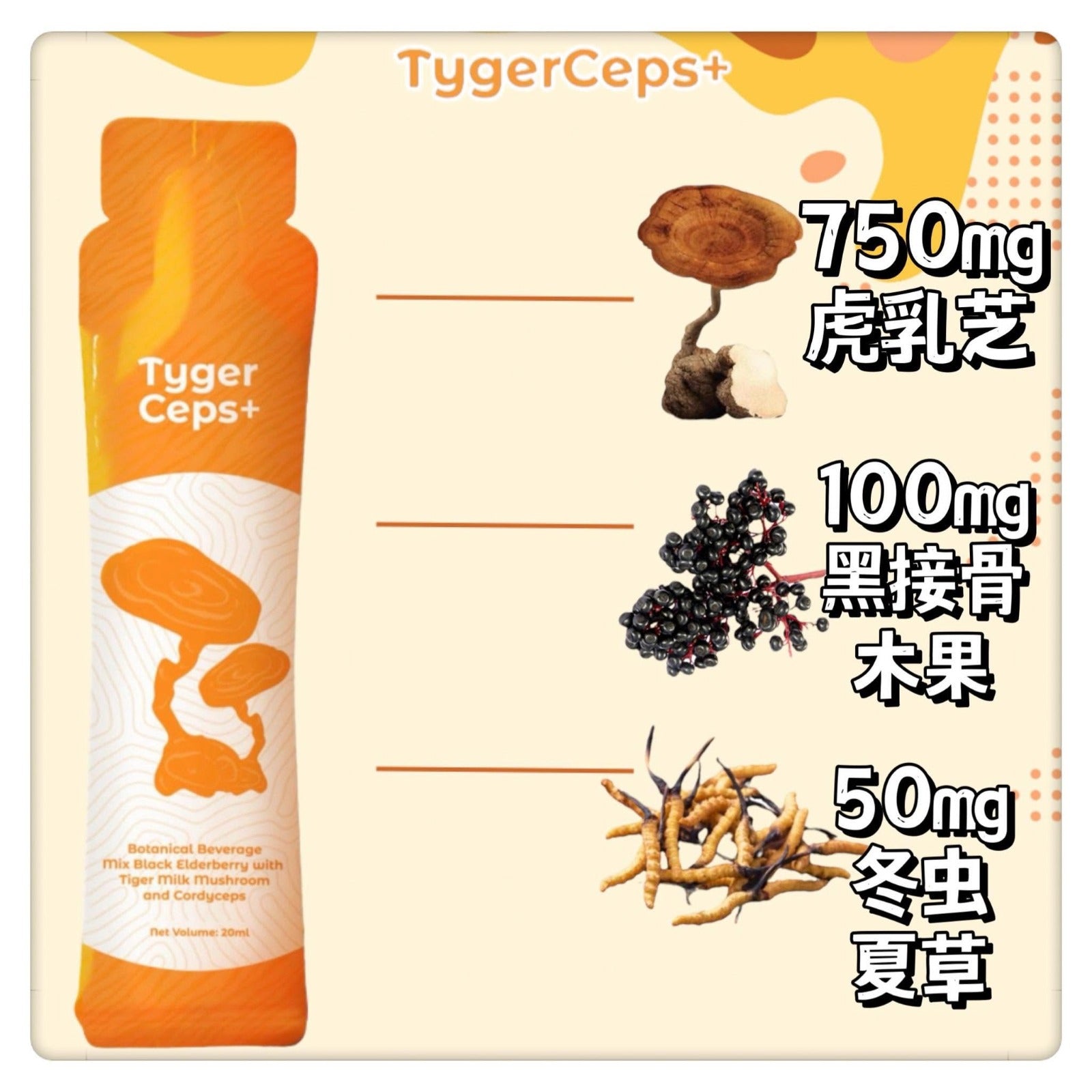 【24小時網站自助下單】🌸🌟升級版🌟馬來西亞TygerCeps+虎乳芝益肺寶(1盒20包) 到期日:2028年4月 | 預訂約2-3星期 娉婷貿易公司 Exquisite Beauty Trading Company