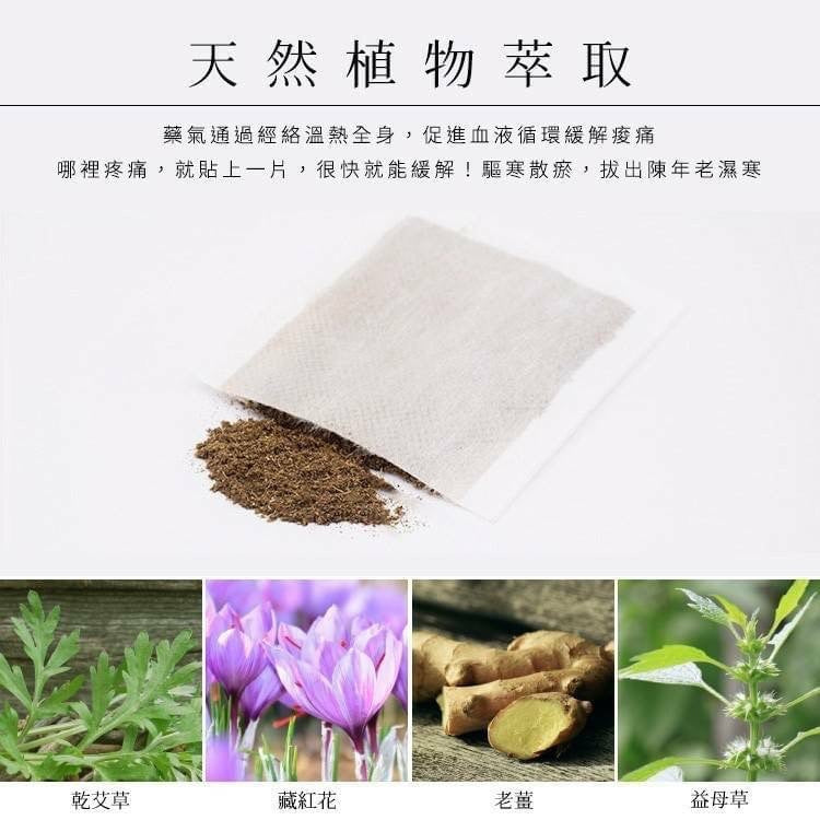 【24小時網站自助下單】2026年8月4日23:00截🌸台灣 淨森堂 溫感艾灸貼 10片入 | 預訂約9月尾至10月初 娉婷貿易公司 Exquisite Beauty Trading Company
