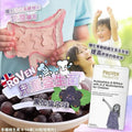 【24小時網站自助下單】2026年8月10日截🌸英國🇬🇧ProVen兒童益生菌+多種維生素咀嚼片 | 預訂約9月尾至10月初 娉婷貿易公司 Exquisite Beauty Trading Company