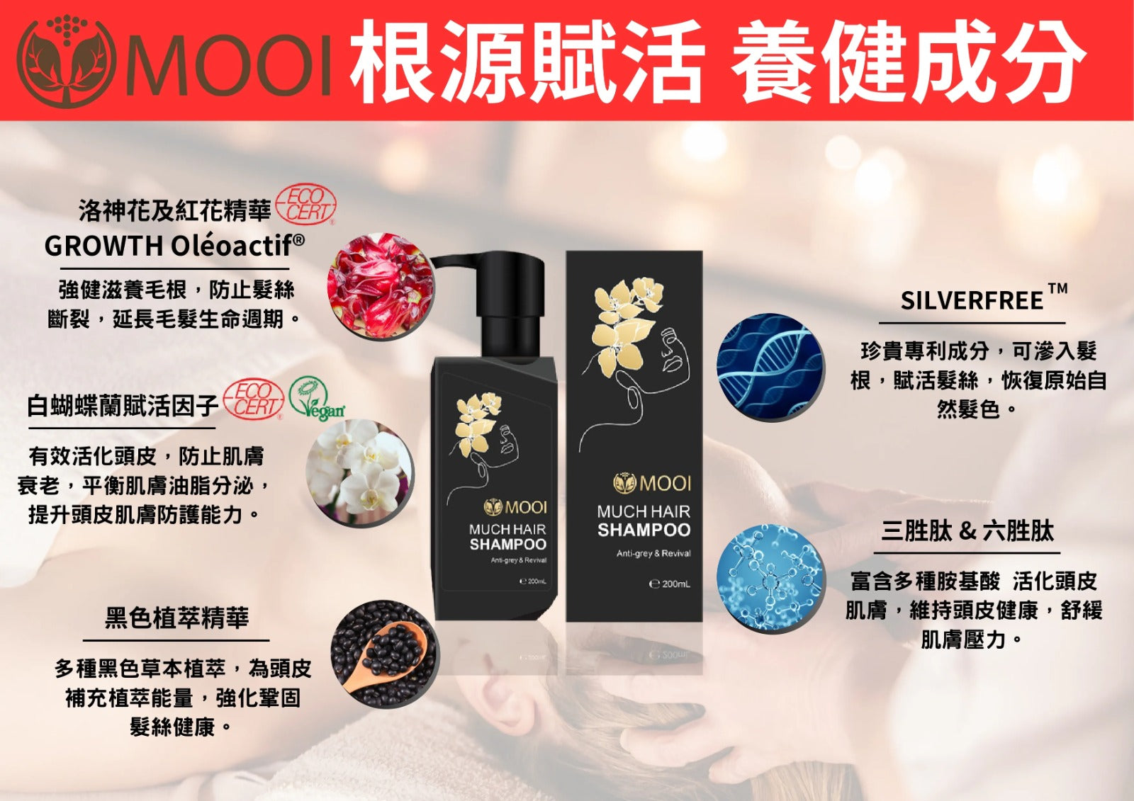 【24小時網站自助下單】🌸MOOI 密髮森洗髮露 200ML | 預訂約4-5星期 娉婷貿易公司 Exquisite Beauty Trading Company