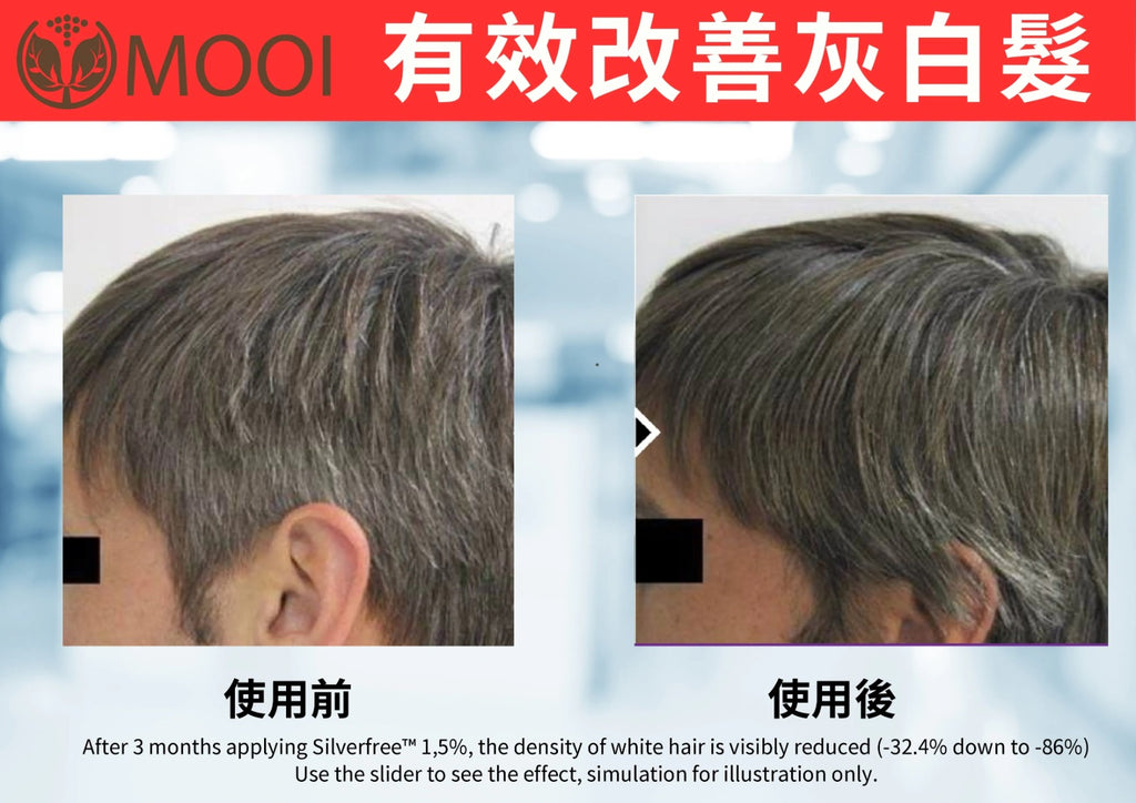 【24小時網站自助下單】🌸MOOI 密髮森洗髮露 200ML | 預訂約4-5星期 娉婷貿易公司 Exquisite Beauty Trading Company