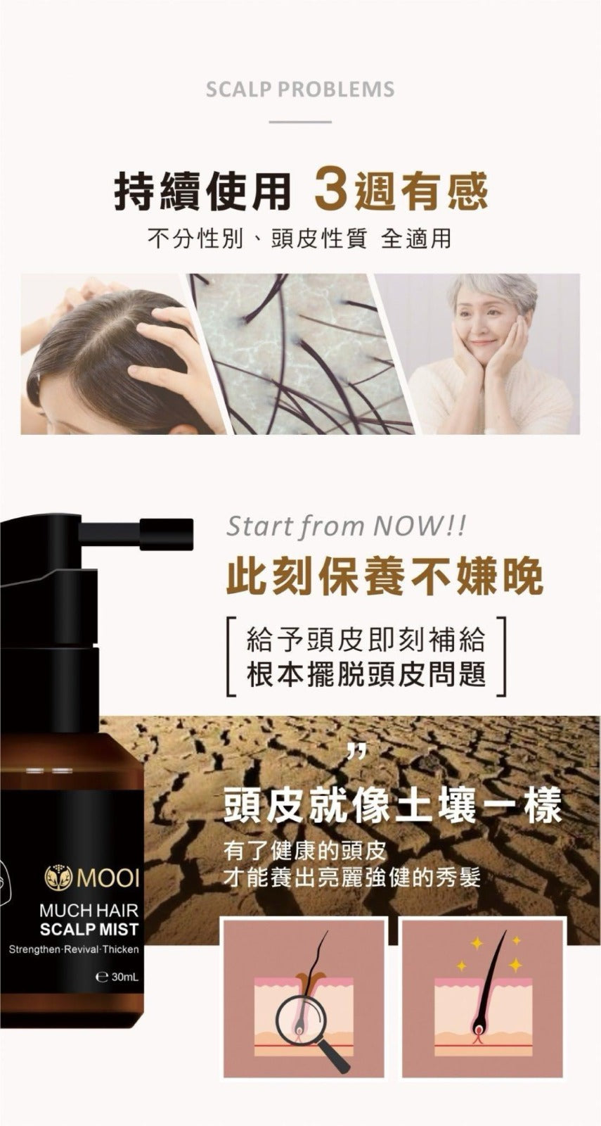 【24小時網站自助下單】🌸MOOI 密髮森養髮液30ml | 預訂約4-5星期 娉婷貿易公司 Exquisite Beauty Trading Company