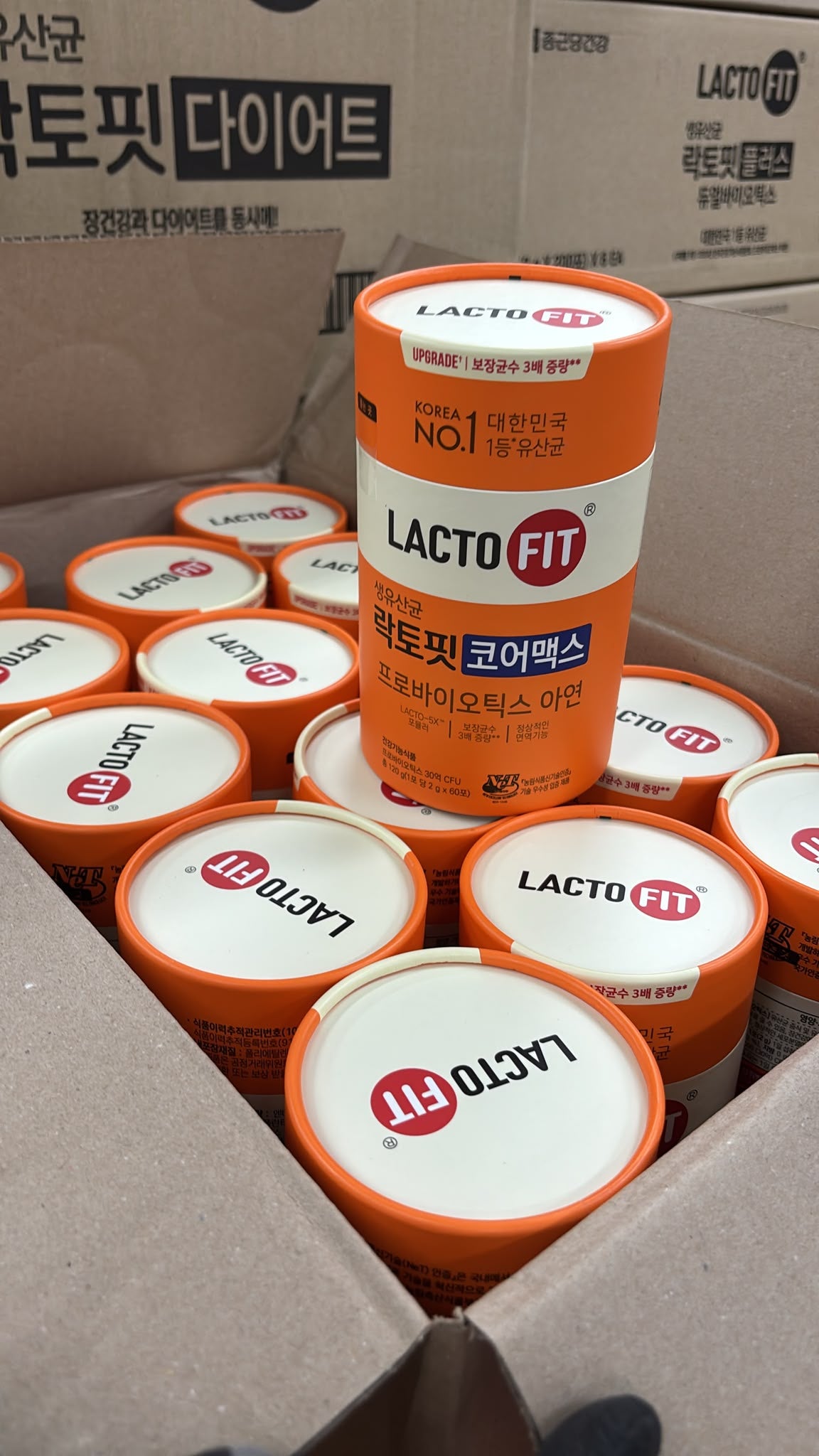 【24小時網站自助下單】現貨🌸🇰🇷鐘根堂LACTO-FIT 黃金版乳酸菌 橙色增強版60條 | 落單後約3-5個工作天寄出 娉婷貿易公司 Exquisite Beauty Trading Company