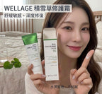 【24小時網站自助下單】現貨🌸Wellage 95%高濃度積雪草舒緩鎮靜面霜50ml | 落單後約3-5個工作天寄出 娉婷貿易公司 Exquisite Beauty Trading Company